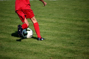 九游游戏中心官网-篮球运动员心理健康服务体系研究，篮球运动员心理健康服务体系研究论文