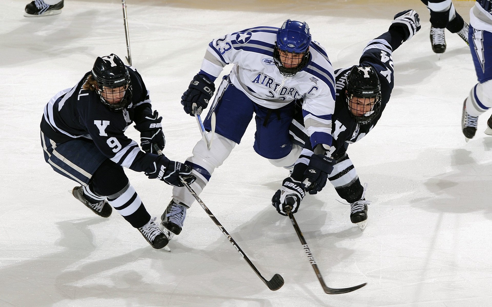 体育志愿服务标准化手册正式发布,体育志愿者服务活动内容