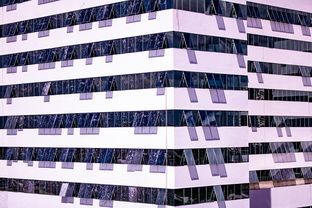 九游电竞平台官网-体育新闻中心推进体育智库体系建设，体育专题报道