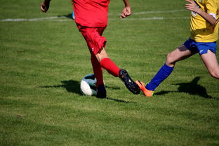 9游app-国家体育场馆运营管理论坛探讨智能化方向，国家体育总局体育场馆运营管理办法